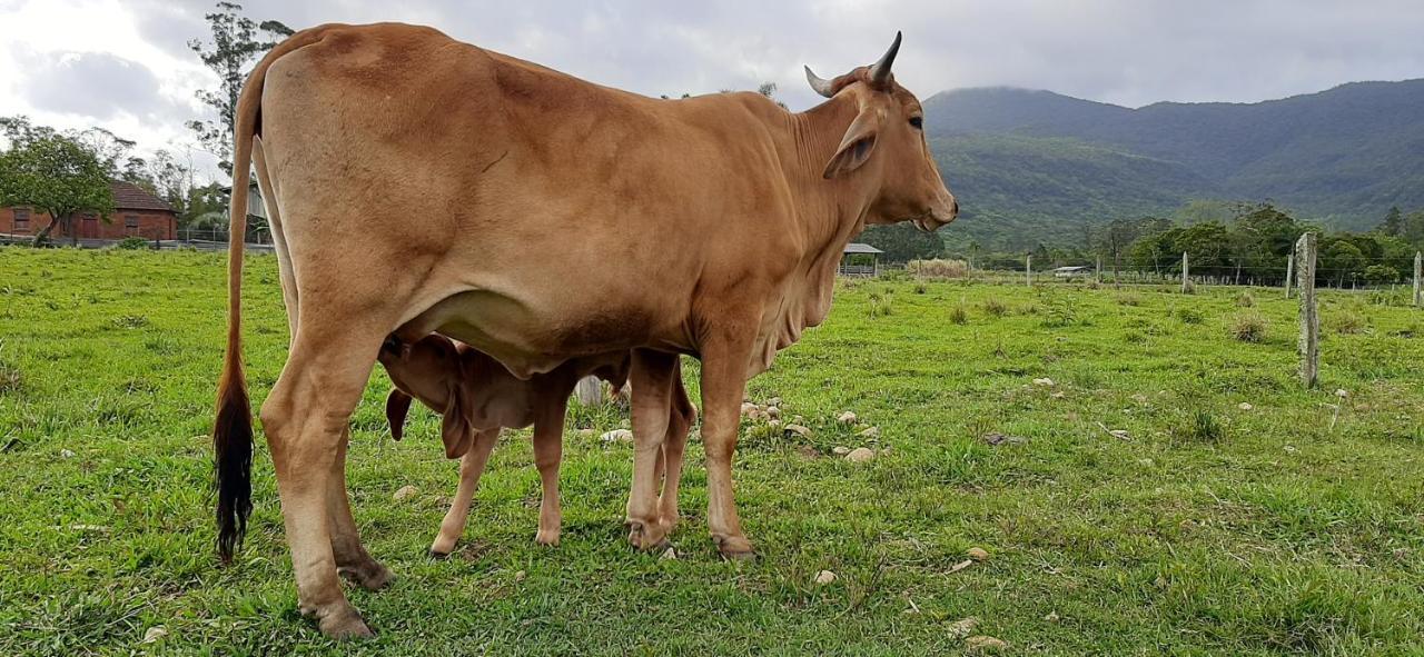 Casa De Maquine Villa Dış mekan fotoğraf